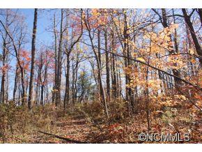 47 Cliffsview Court Zirconia NC 28790
