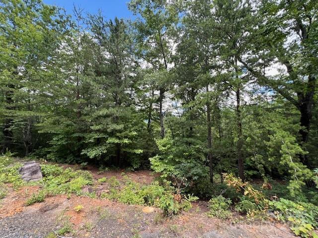 Lot 35a N Oakwood Drive Marion NC 28752