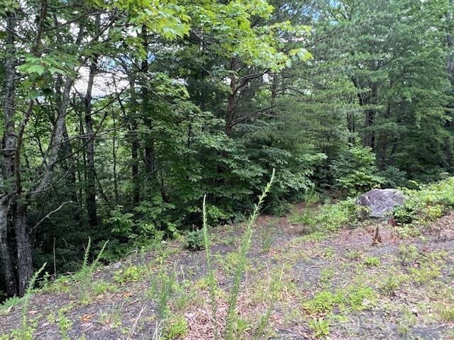 Lot 35a N Oakwood Drive Marion NC 28752