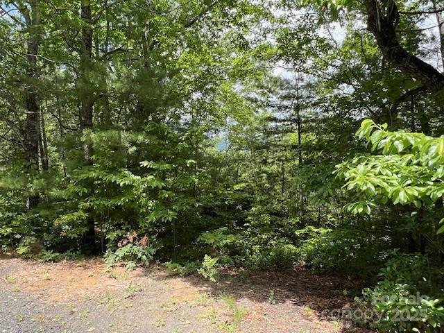 Lot 35a N Oakwood Drive Marion NC 28752