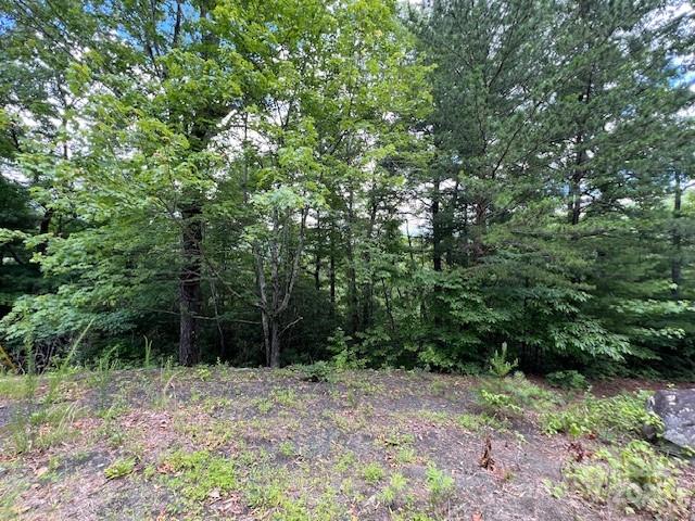 Lot 35a N Oakwood Drive Marion NC 28752