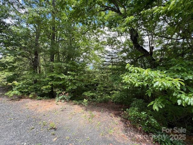 Lot 35a N Oakwood Drive Marion NC 28752