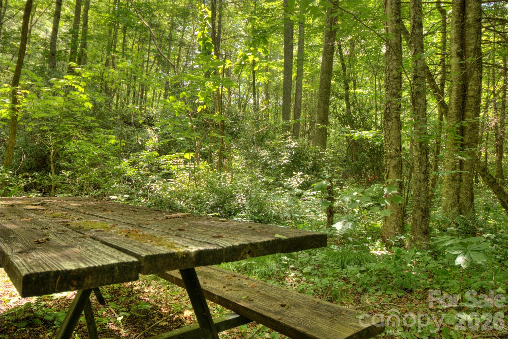 000 Rainbow Trout Drive Spruce Pine NC 28777