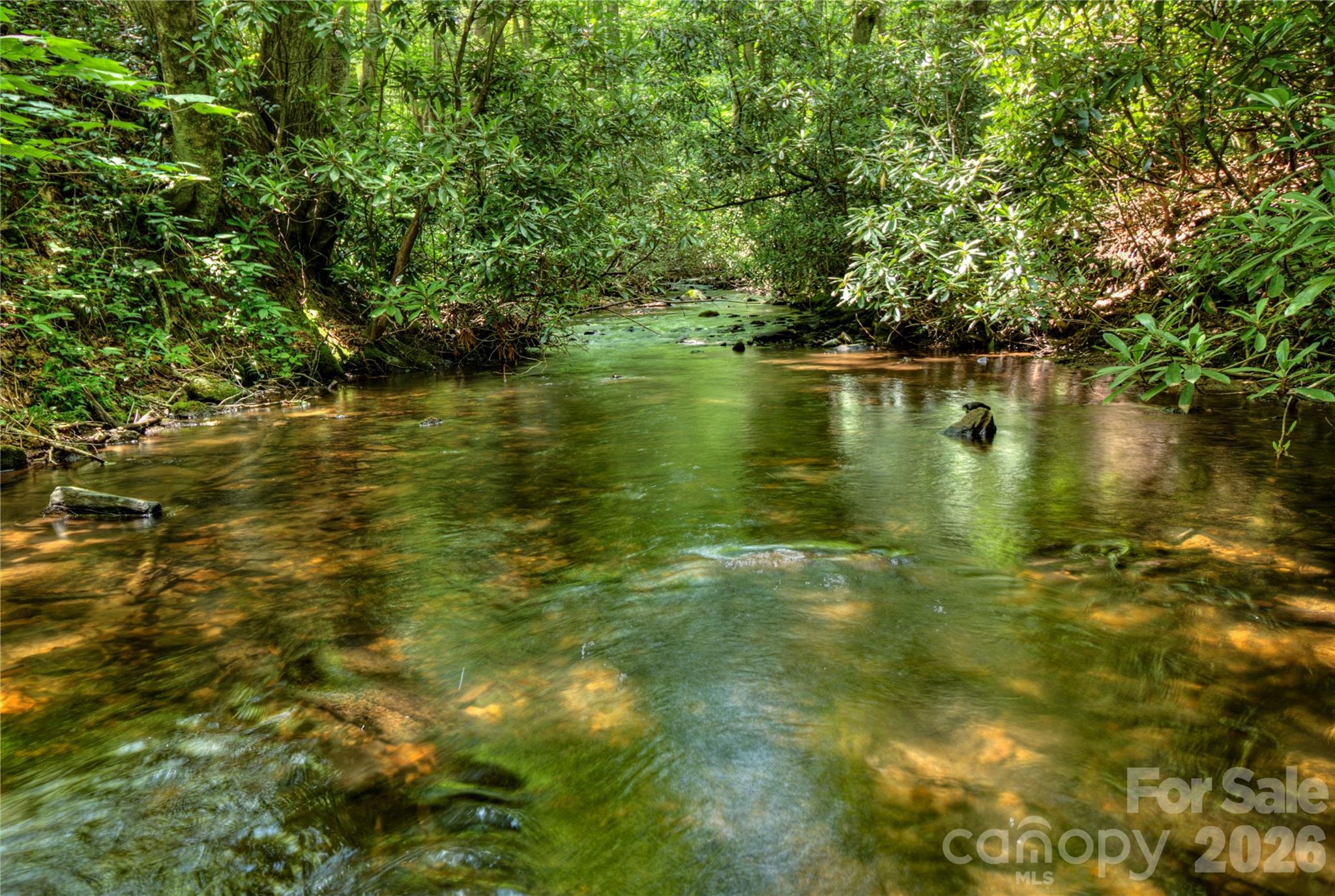 000 Rainbow Trout Drive Spruce Pine NC 28777