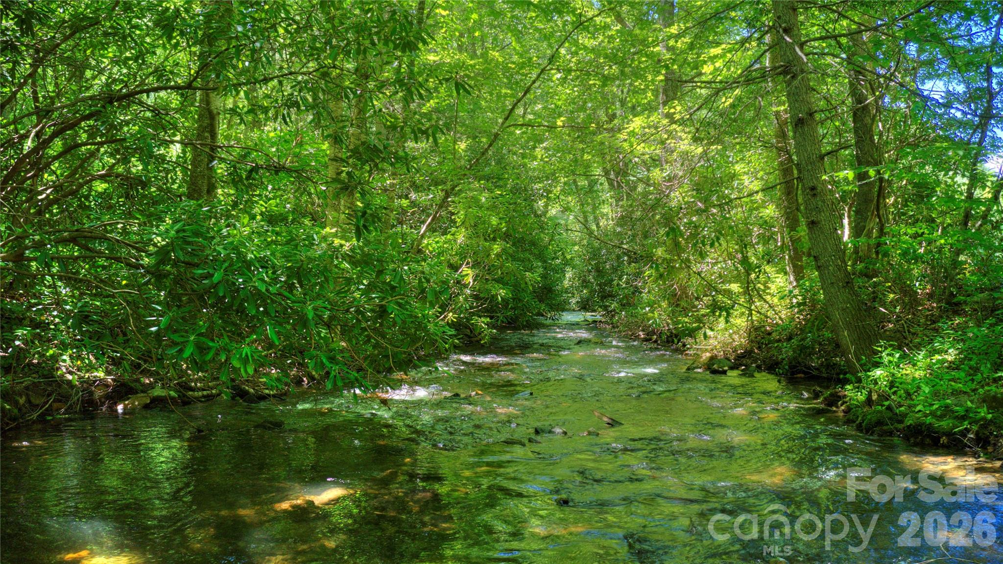 000 Rainbow Trout Drive Spruce Pine NC 28777