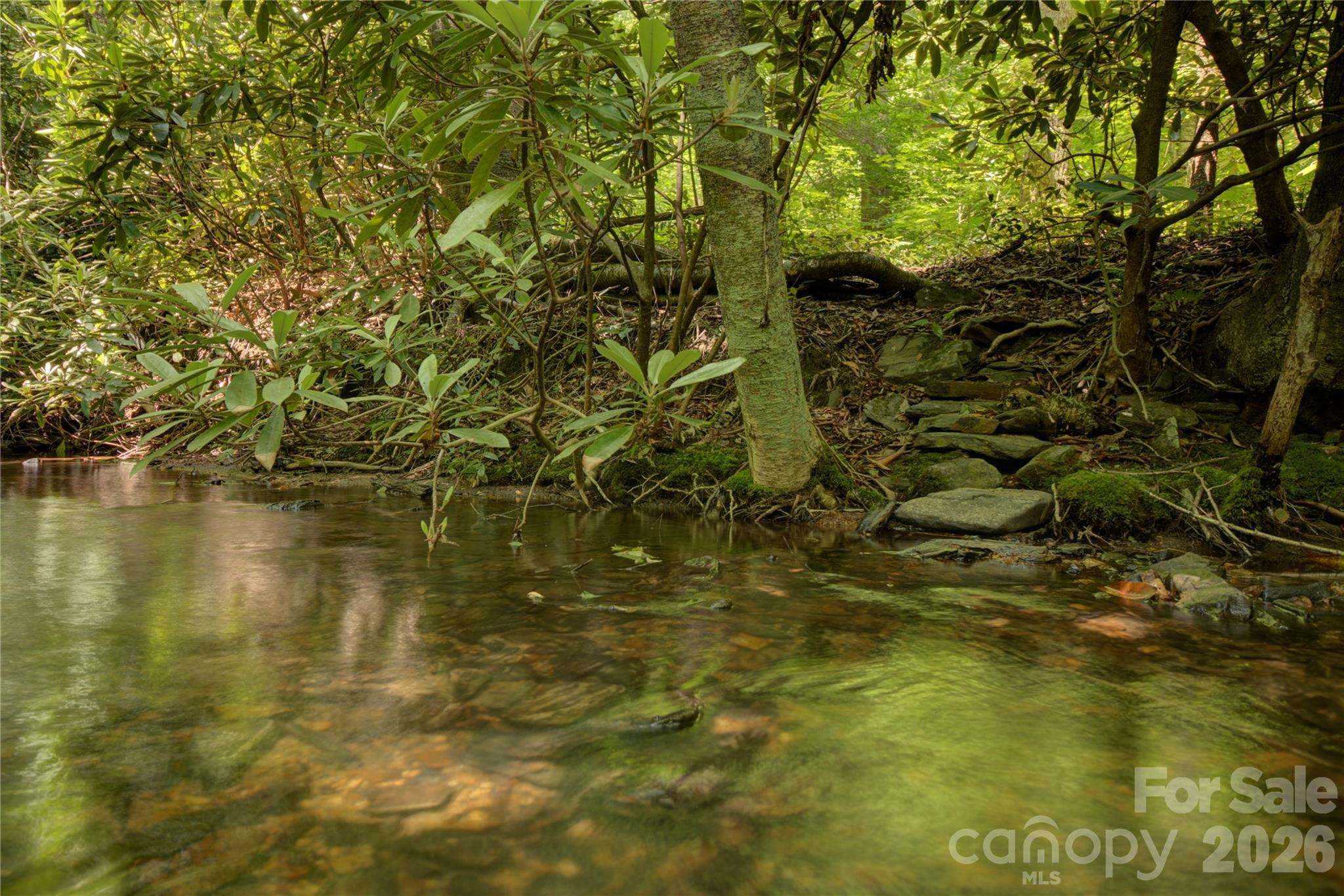 000 Rainbow Trout Drive Spruce Pine NC 28777