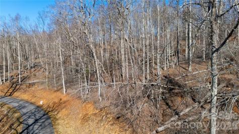 000 Rainbow Trout Drive Spruce Pine NC 28777