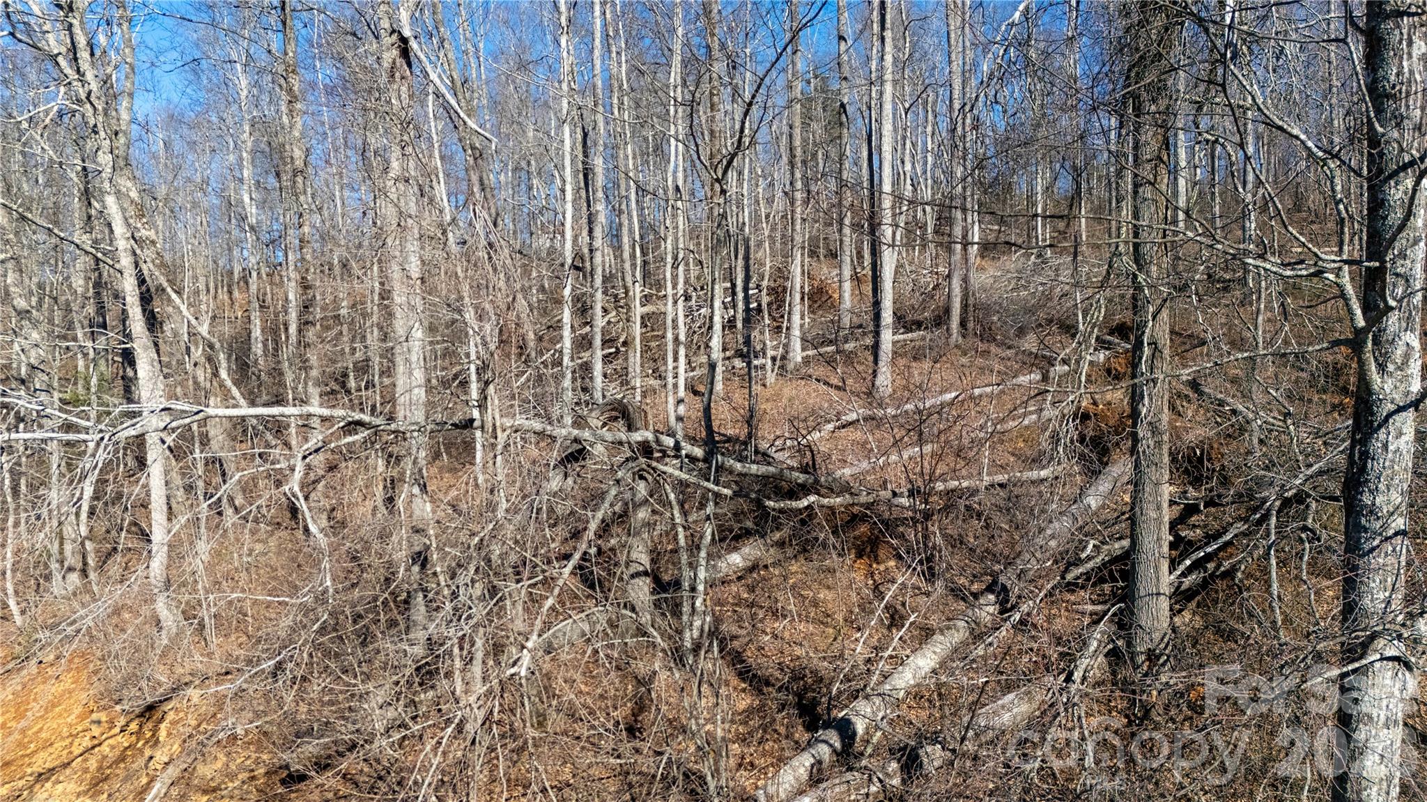 000 Rainbow Trout Drive Spruce Pine NC 28777