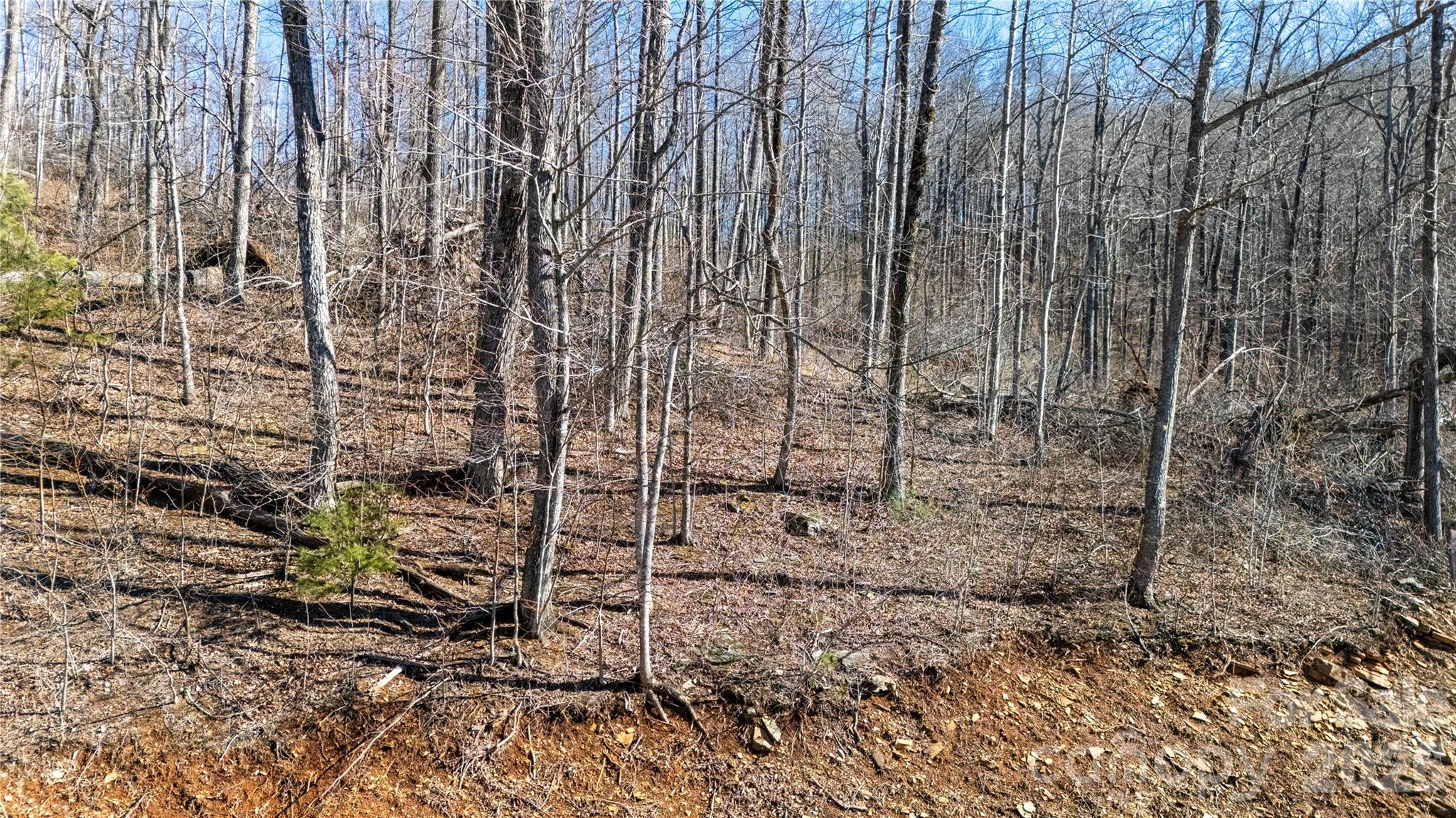 000 Rainbow Trout Drive Spruce Pine NC 28777