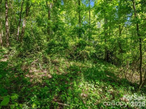 00 Hamilton Acres Drive Hendersonville NC 28792