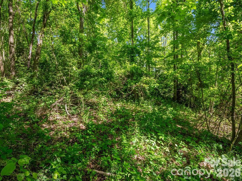 00 Hamilton Acres Drive Hendersonville NC 28792