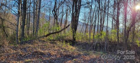 40 Rons Ridge Waynesville NC 28785