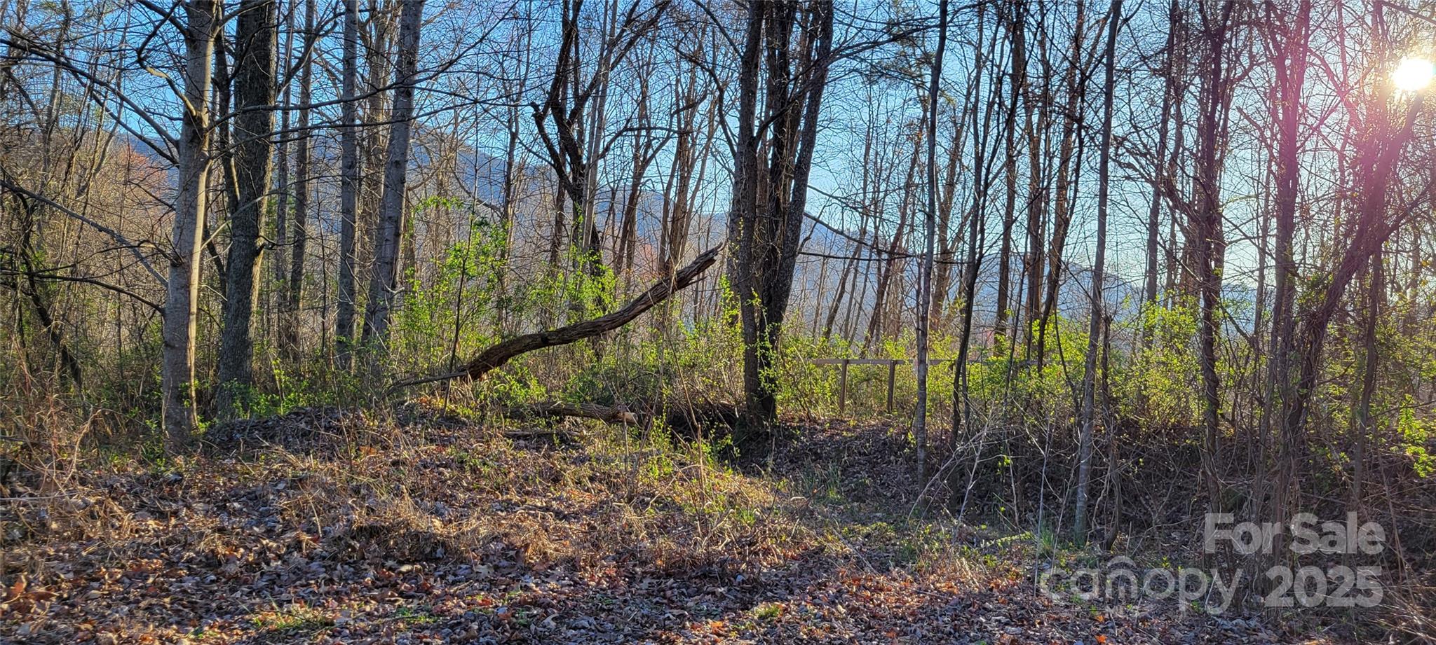 40 Rons Ridge Waynesville NC 28785
