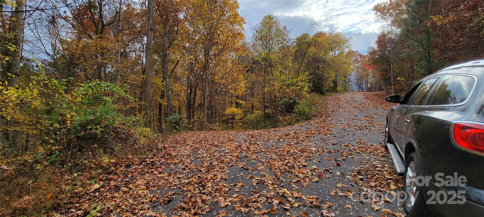 40 Rons Ridge Waynesville NC 28785
