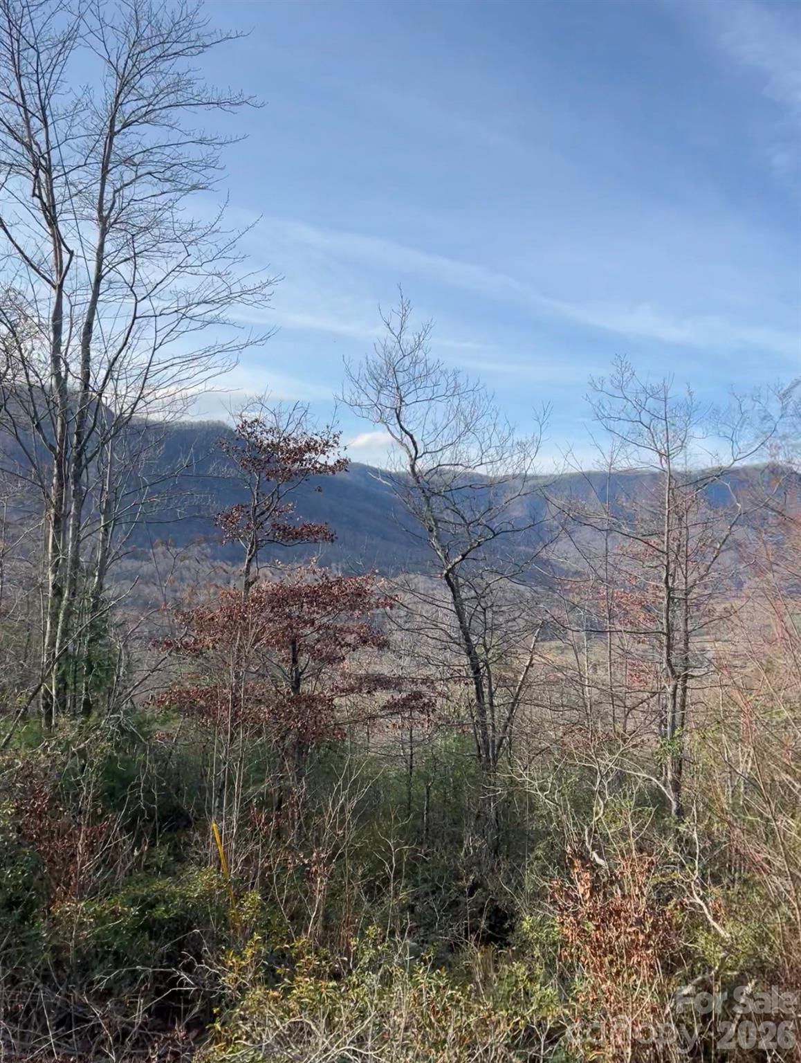 Lot 51b Wilderness Drive Marion NC 28752