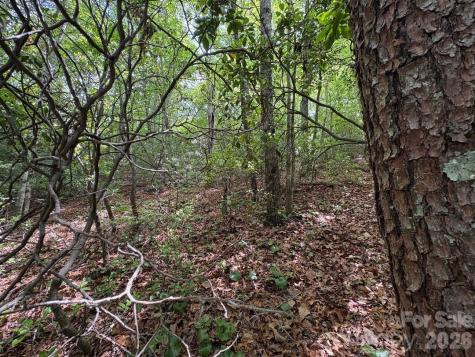 Lot 51b Wilderness Drive Marion NC 28752