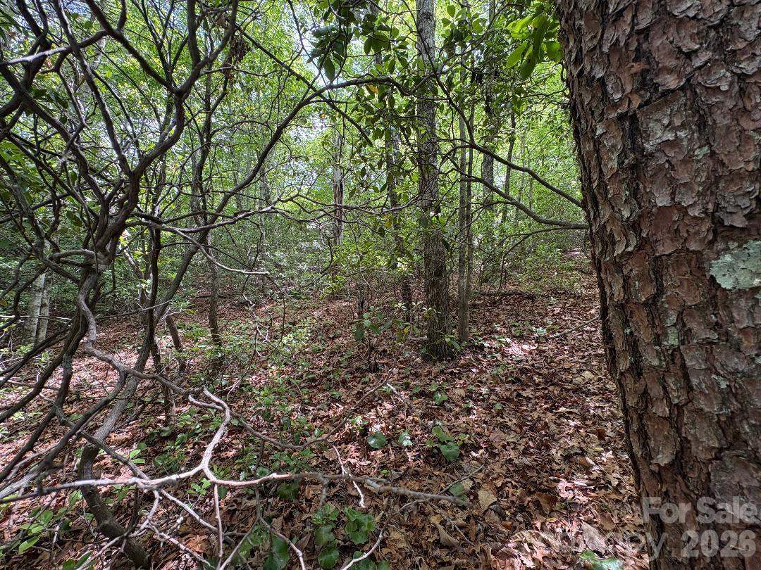 Lot 51b Wilderness Drive Marion NC 28752