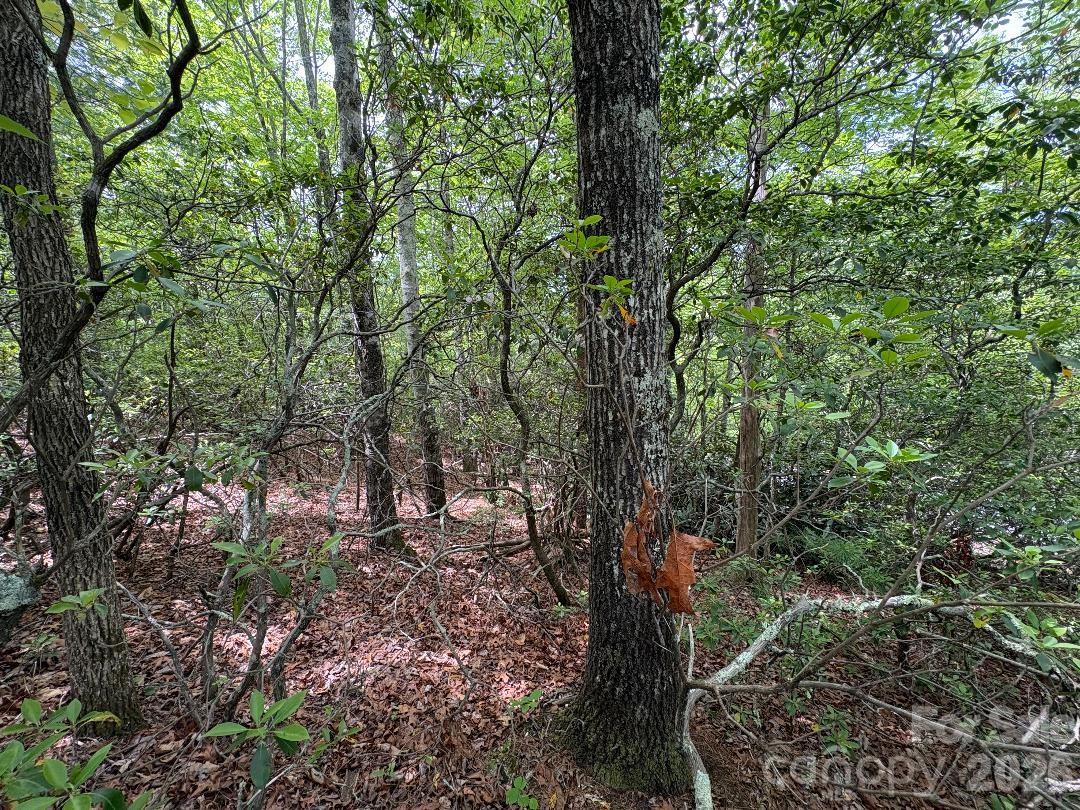 Lot 51b Wilderness Drive Marion NC 28752