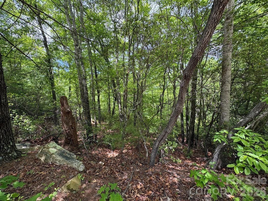 Lot 51b Wilderness Drive Marion NC 28752