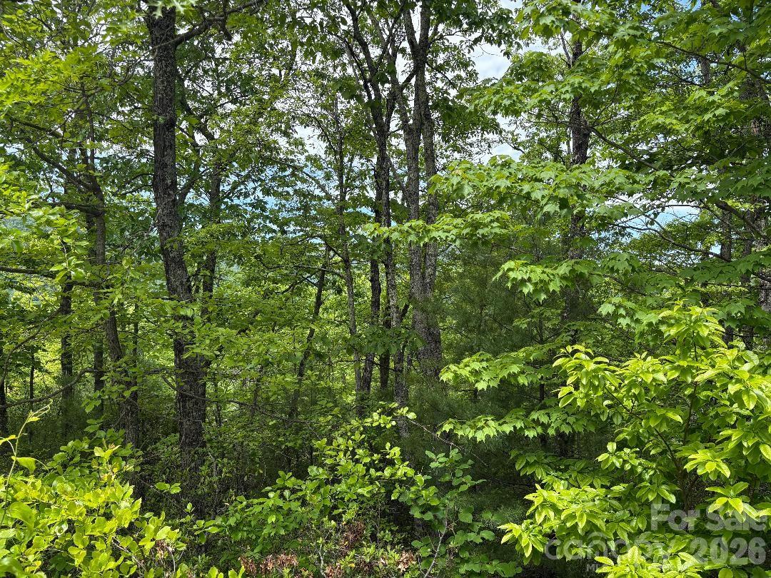 Lot 51b Wilderness Drive Marion NC 28752
