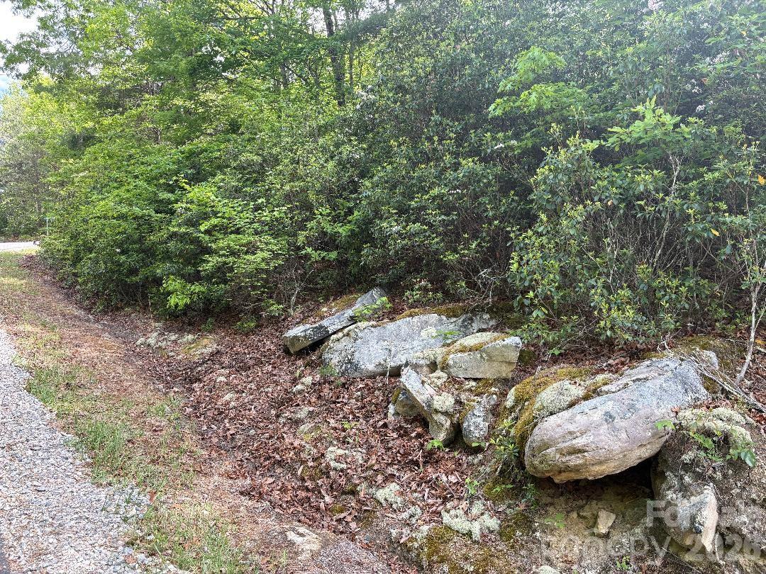Lot 51b Wilderness Drive Marion NC 28752