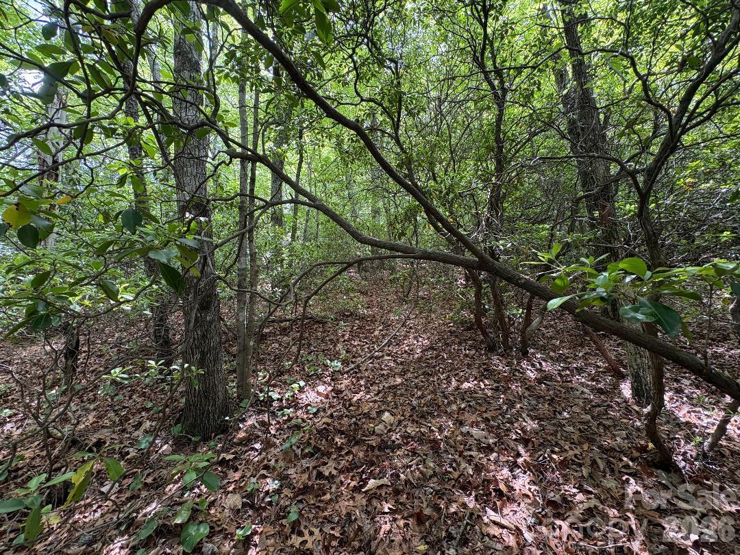 Lot 51b Wilderness Drive Marion NC 28752
