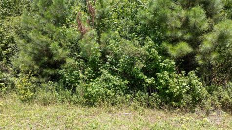 000 Daystar Road Lancaster SC 29720