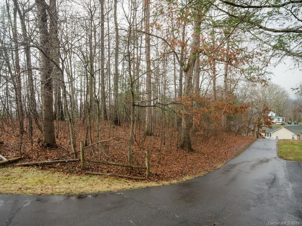 40 Haly Ho Drive Candler NC 28715