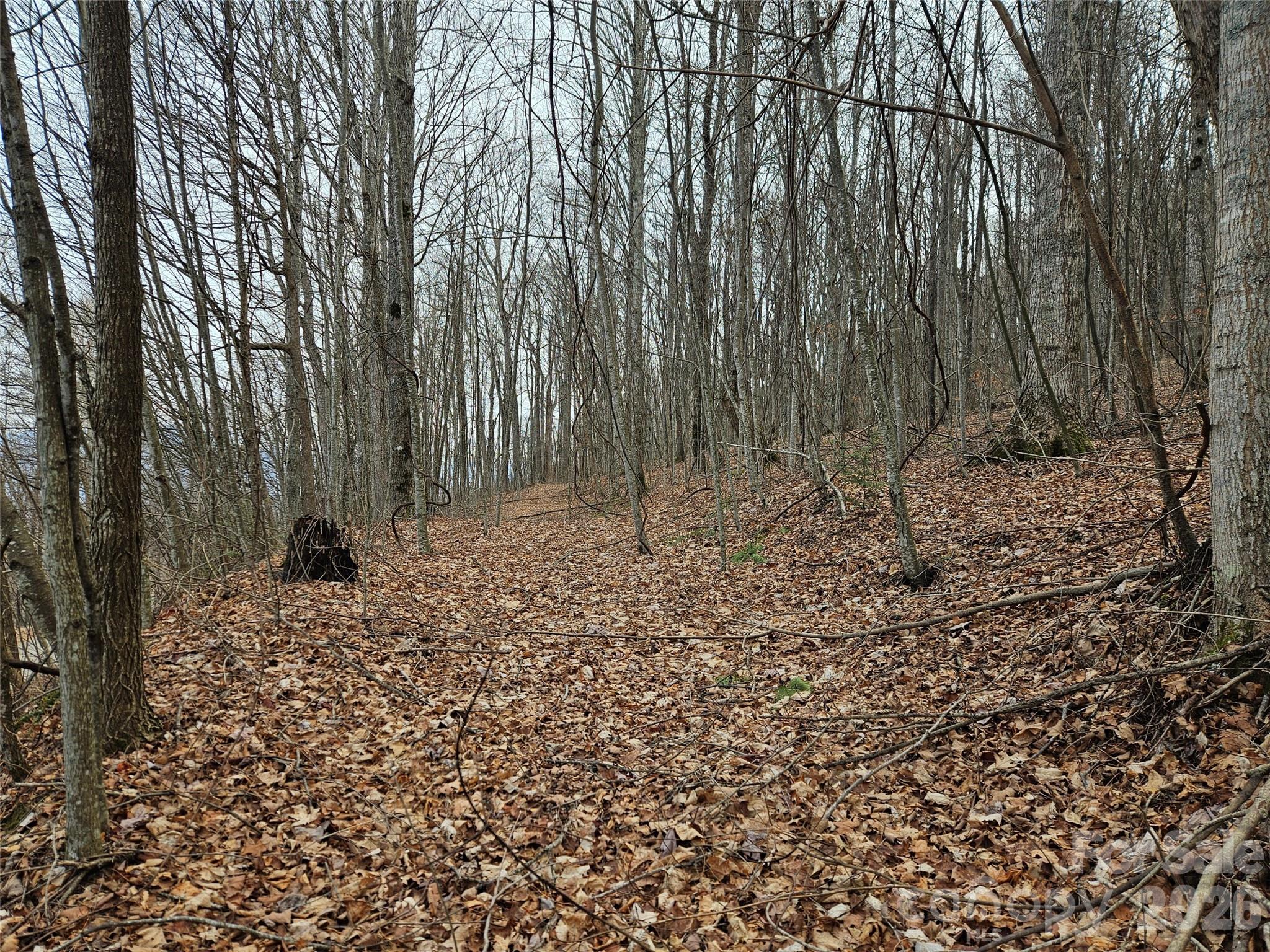 000 Slippery Rock Lane Waynesville NC 28785