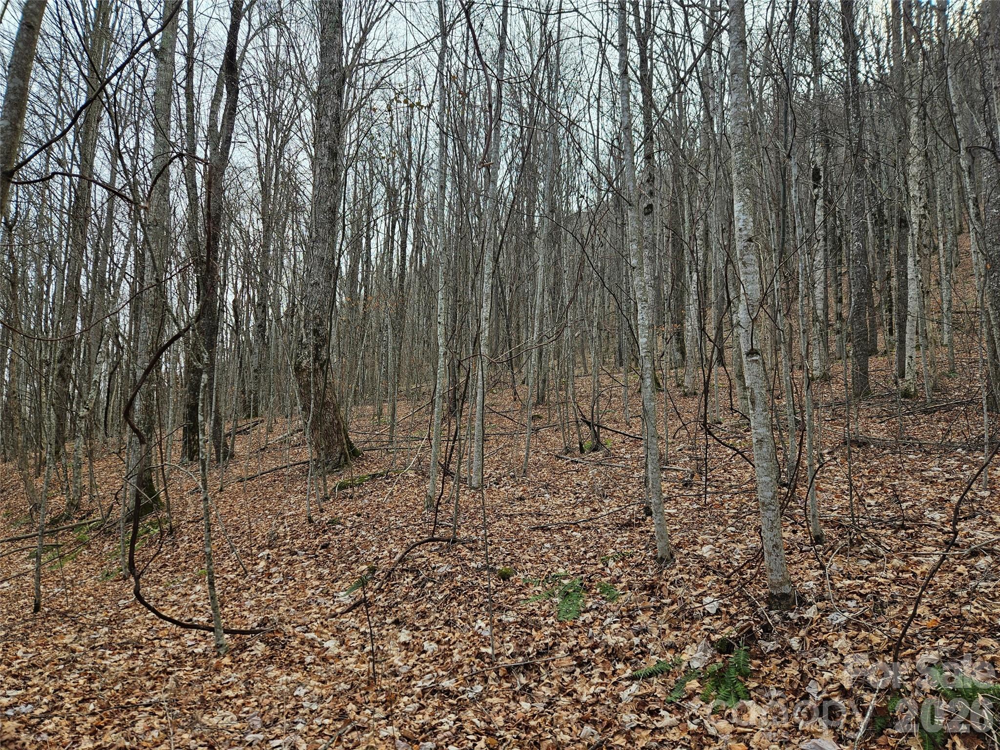 000 Slippery Rock Lane Waynesville NC 28785