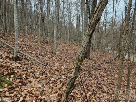 000 Slippery Rock Lane Waynesville NC 28785