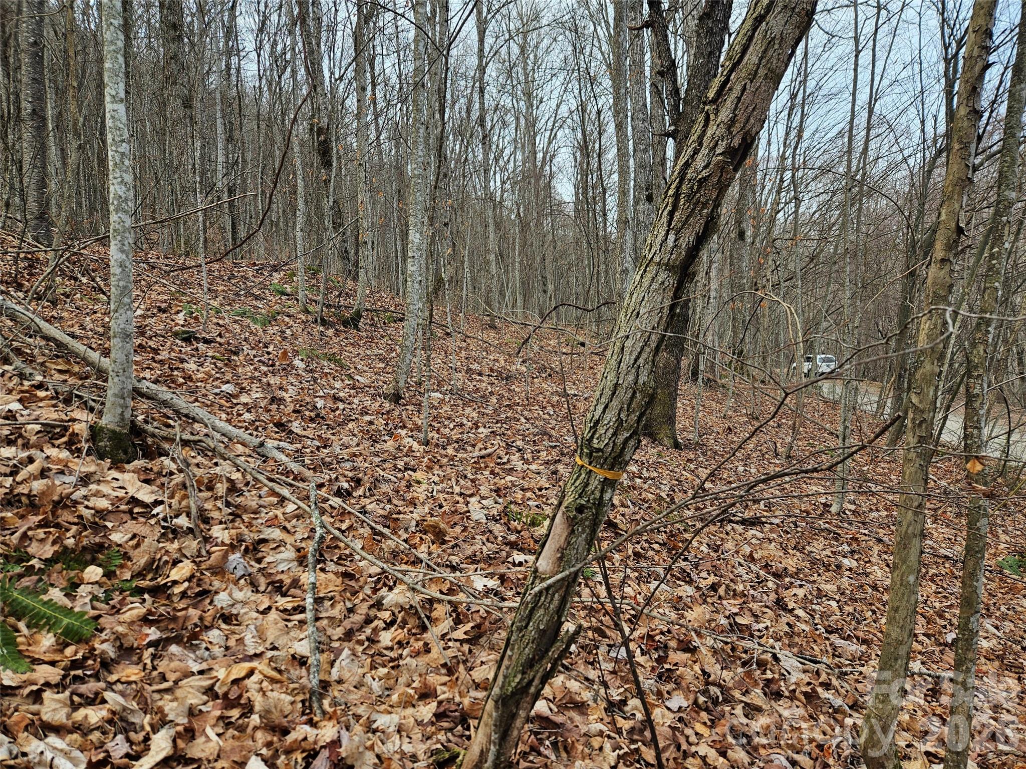 000 Slippery Rock Lane Waynesville NC 28785