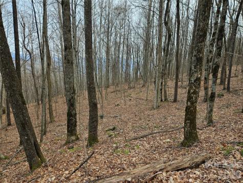 000 Slippery Rock Lane Waynesville NC 28785