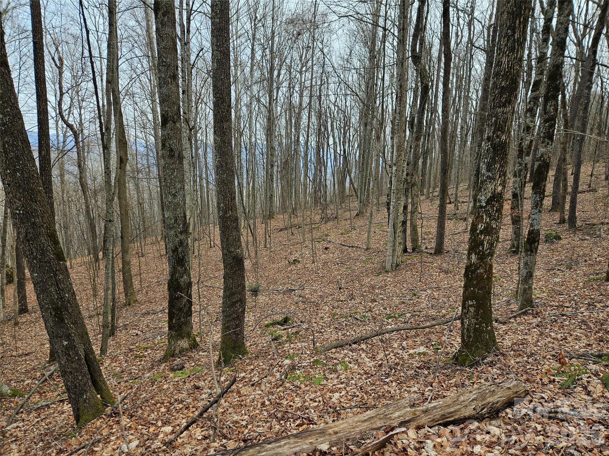 000 Slippery Rock Lane Waynesville NC 28785