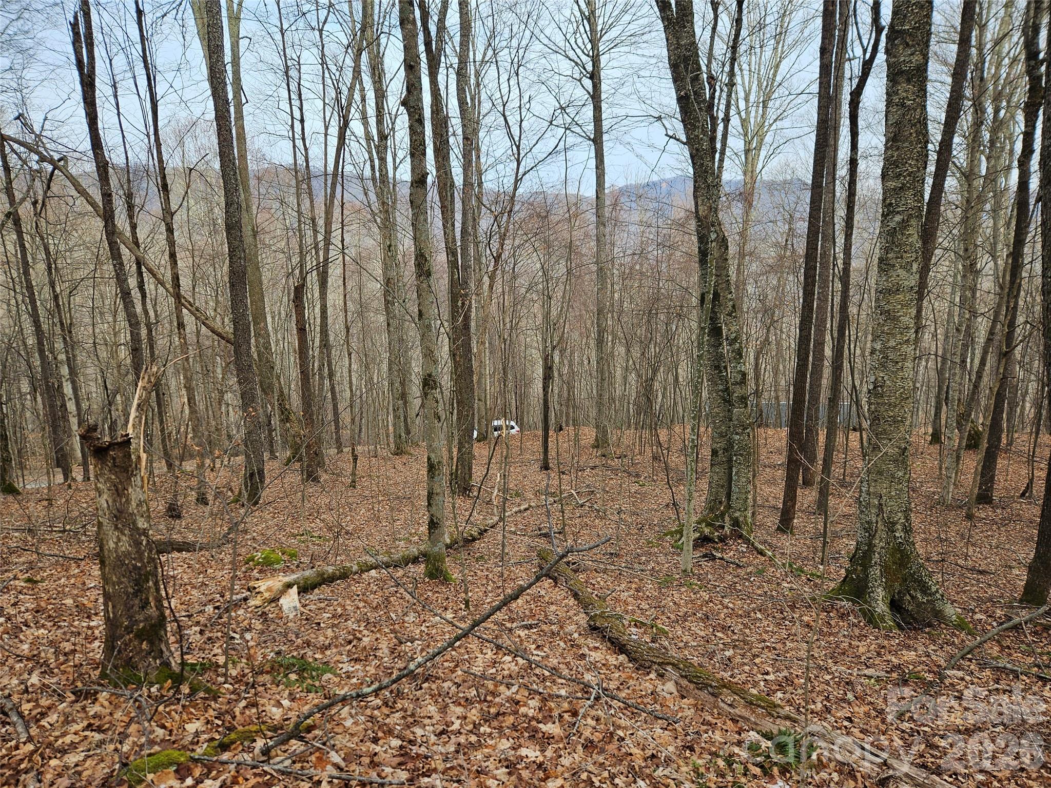 000 Slippery Rock Lane Waynesville NC 28785