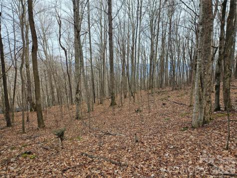 000 Slippery Rock Lane Waynesville NC 28785