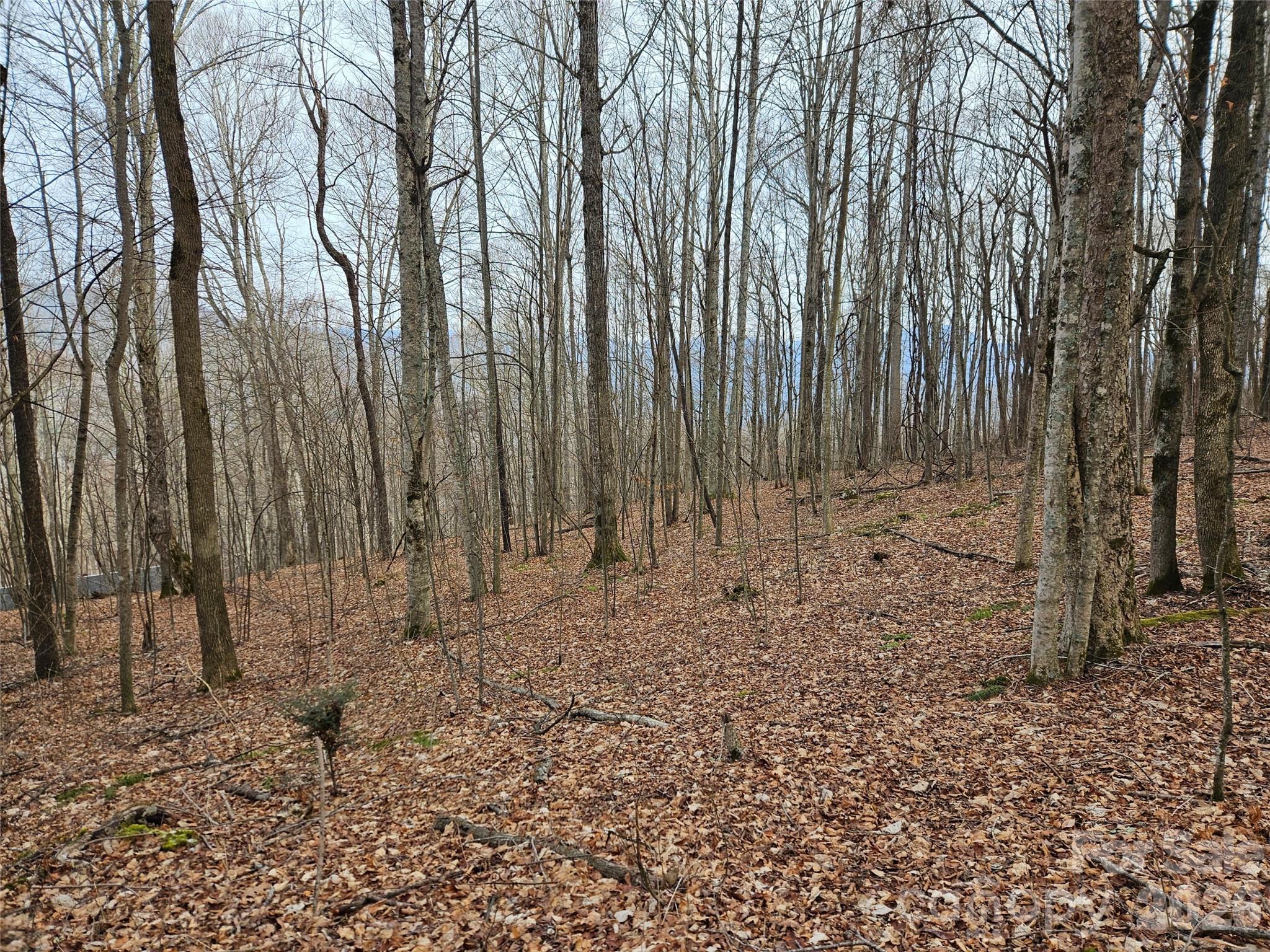 000 Slippery Rock Lane Waynesville NC 28785