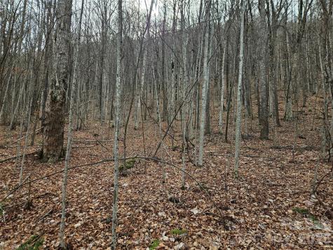 000 Slippery Rock Lane Waynesville NC 28785