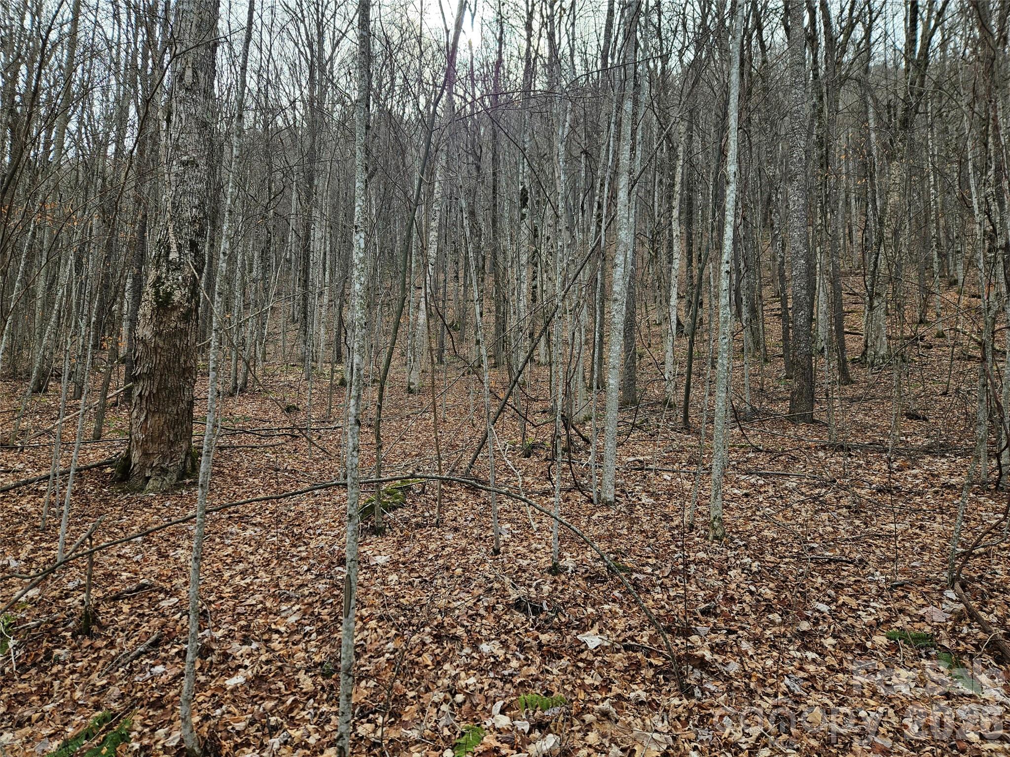 000 Slippery Rock Lane Waynesville NC 28785