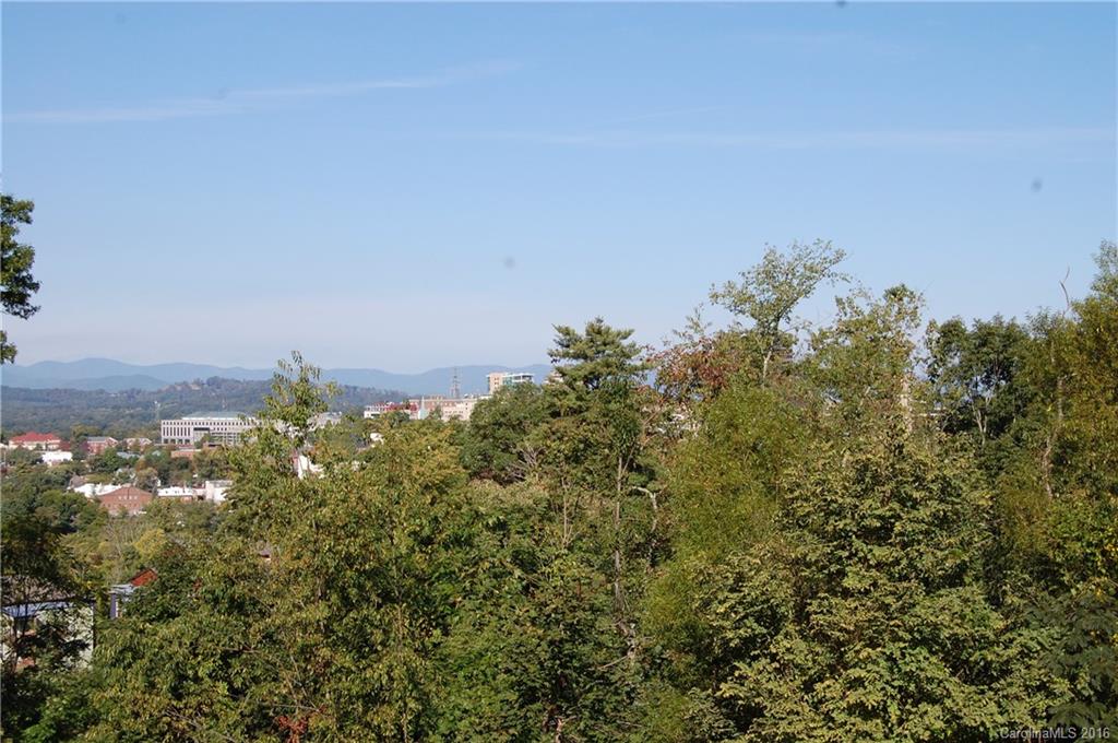 58 Ardmion Park Asheville NC 28801