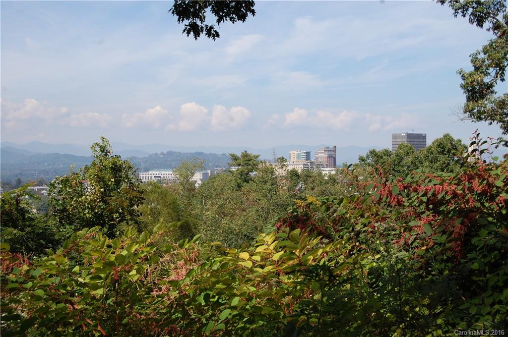 58 Ardmion Park Asheville NC 28801