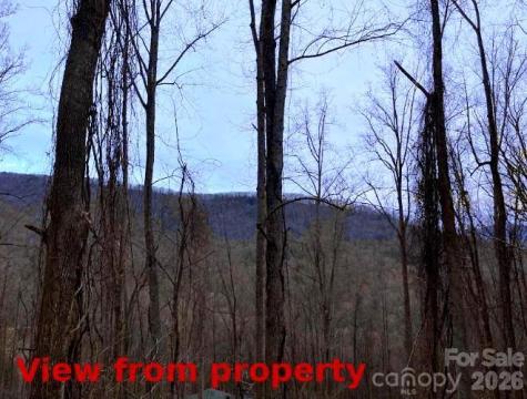 89 Weeping Cherry Forest Road Fairview NC 28730
