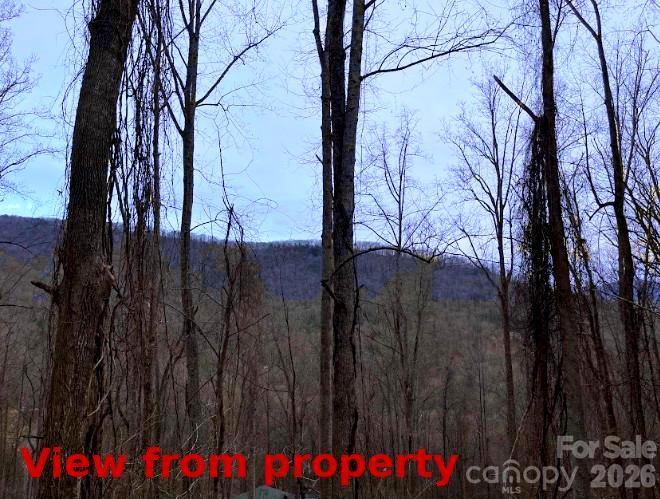 89 Weeping Cherry Forest Road Fairview NC 28730