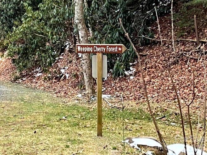 89 Weeping Cherry Forest Road Fairview NC 28730