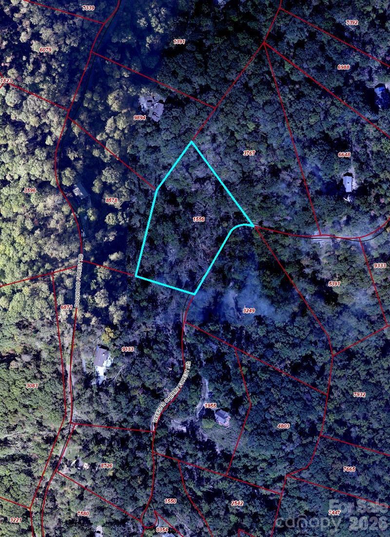 89 Weeping Cherry Forest Road Fairview NC 28730