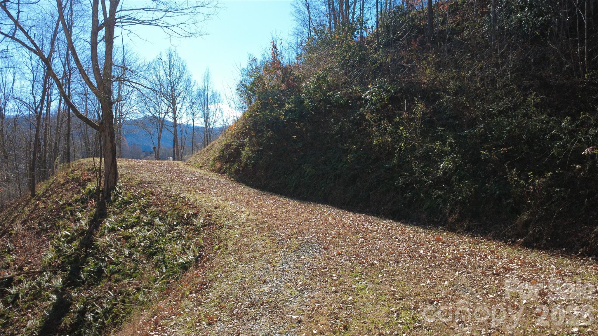 97 Junebug Trail Waynesville NC 28785