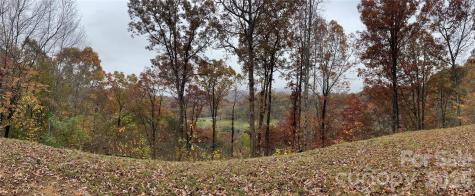 97 Junebug Trail Waynesville NC 28785