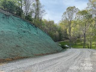 97 Junebug Trail Waynesville NC 28785