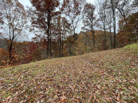 97 Junebug Trail Waynesville NC 28785