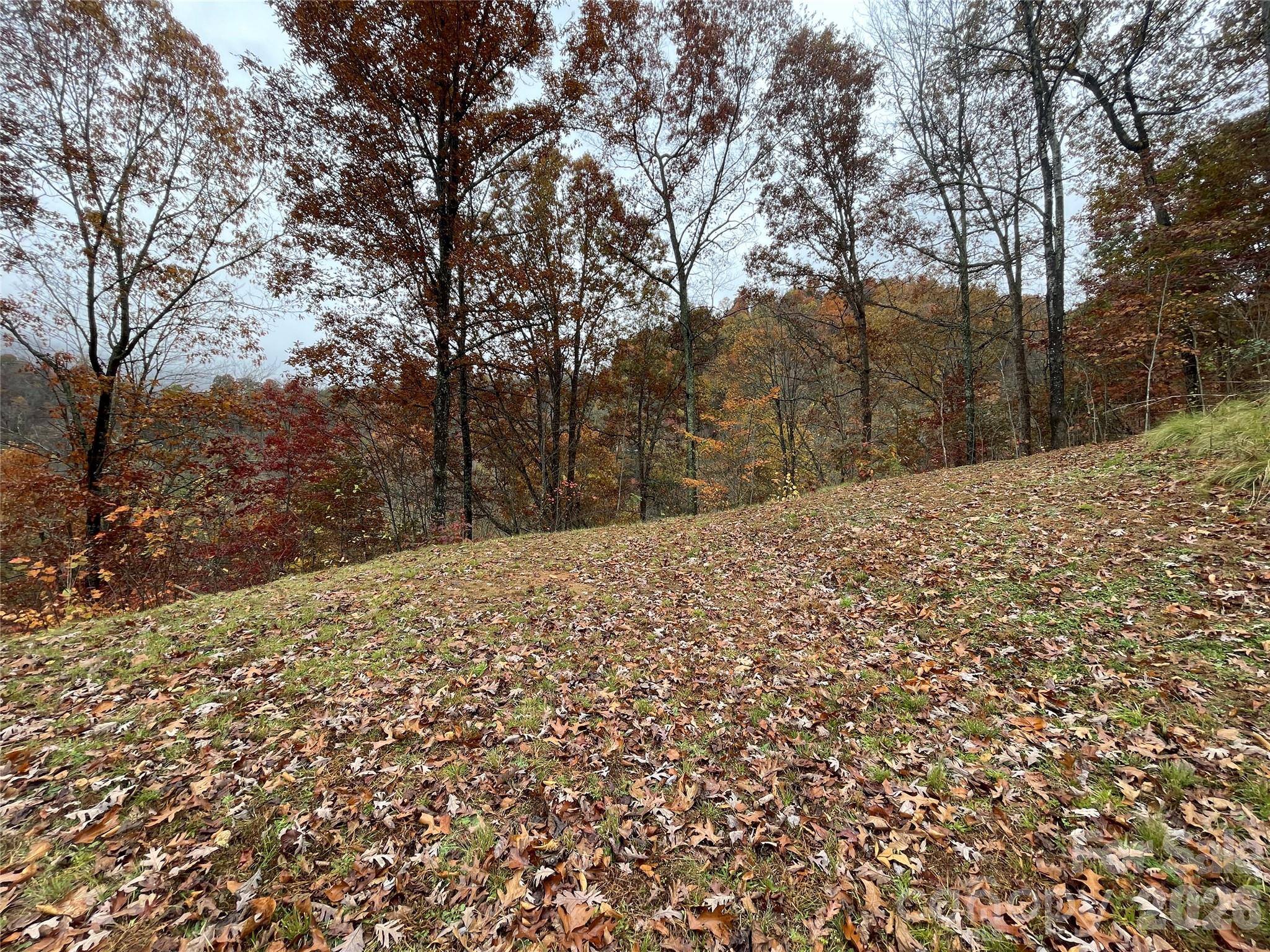 97 Junebug Trail Waynesville NC 28785